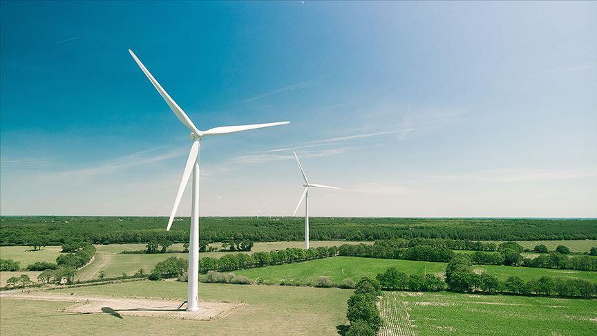 Wind and solar drive record drop in coal in 2020