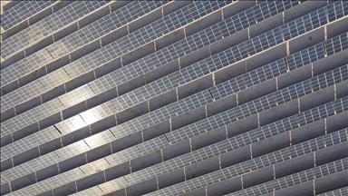 Oil-rich Saudi Arabia branches into solar power