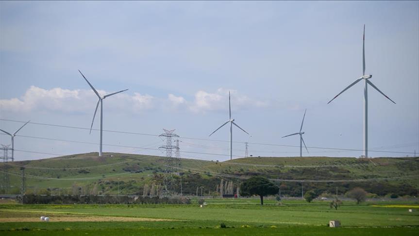 Wind energy sector could create 3.3 million new jobs over five years