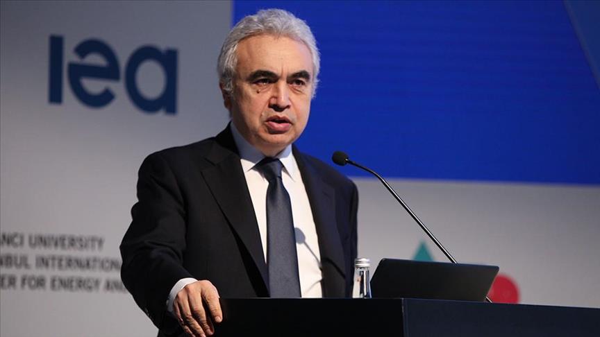 Geothermal and hydropower need more attention: IEA head