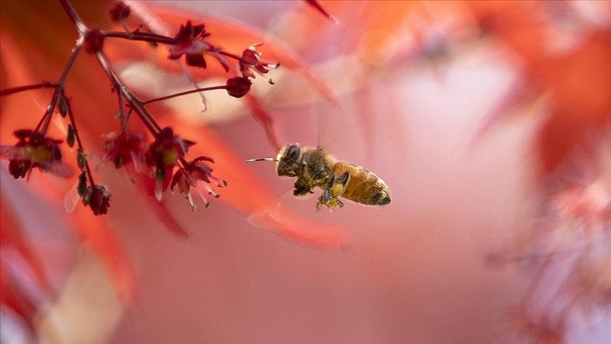 World leaders call for united response against climate change