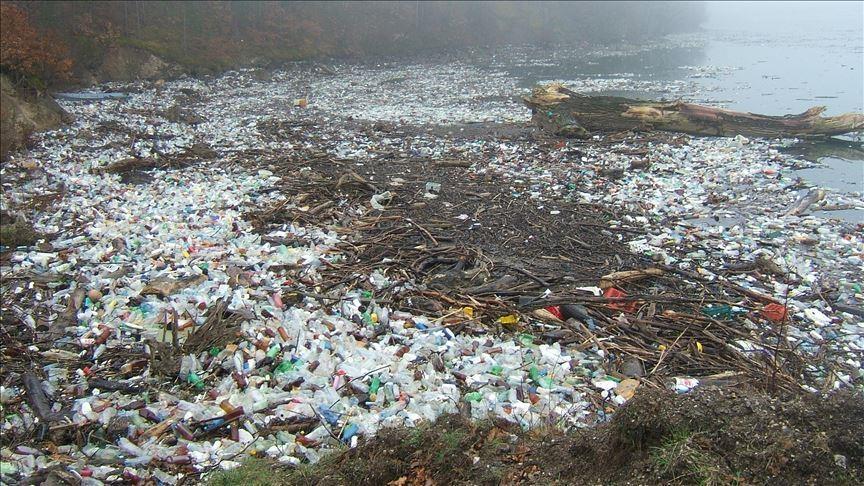 Plastic waste's poisonous journey through food chain