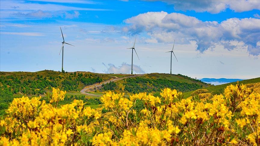 Turkey's daily power consumption down 13.9% on July 5