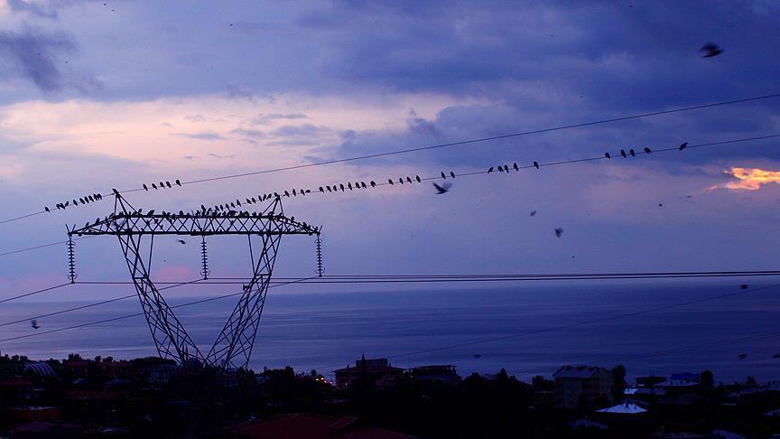 Spot market electricity prices for Sunday, July 25