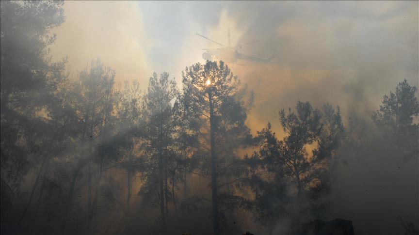 Wildfires ravaging forestlands in many parts of world