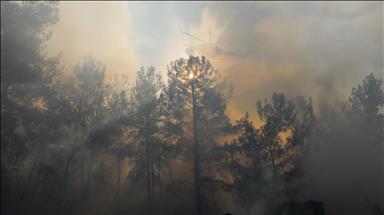 Wildfires ravaging forestlands in many parts of world
