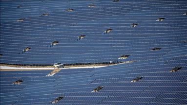 Turkey's solar power share rise to 7.5% but still lower than potential