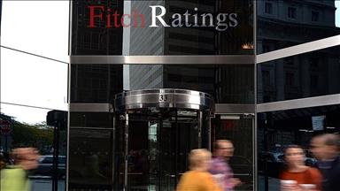 Fitch raises Henry Hub, Euro natural gas price assumptions 