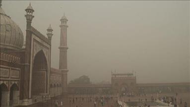  More action needed to solve India's air pollution problem: Expert