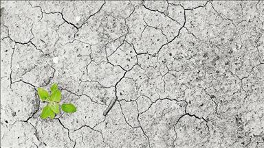 Turkey to become party to Paris Climate Agreement on Nov. 10
