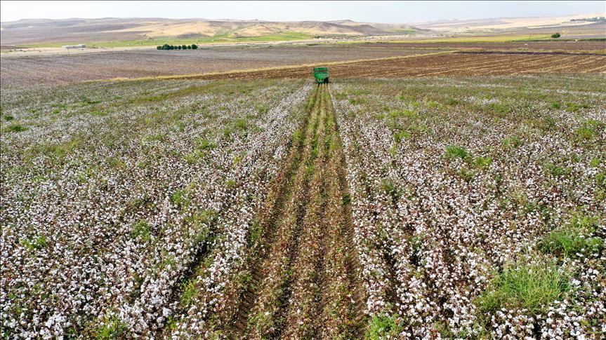 Around $4B in public sector investments will be used for agricultural improvements