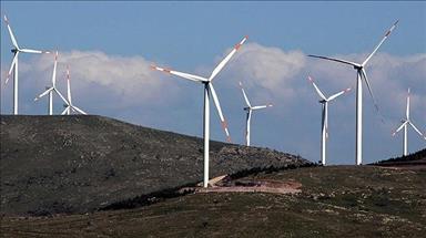 Turkey's daily wind power generation hits record high