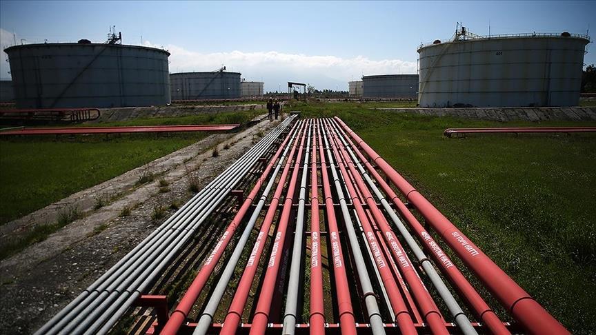 Turkiye's gas imports down 2% in November 2021