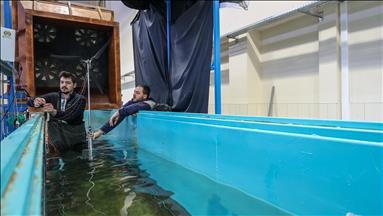 Turkiye's first floating offshore wind energy modelling study to help unearth new potential