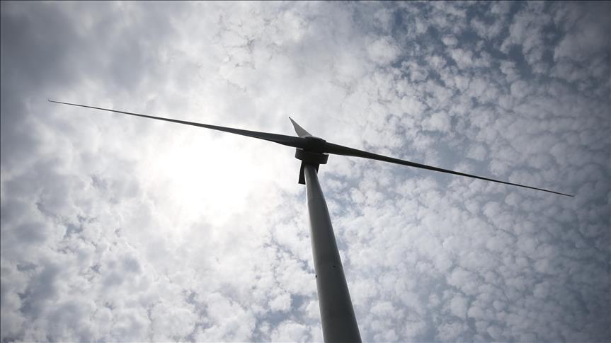 Spot market electricity prices for Sunday, March 13