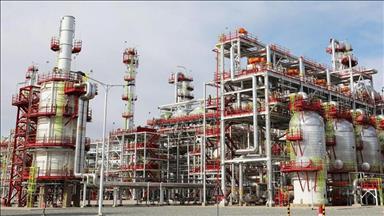 Sudden cut of Russian gas risks €220B to German output: Report