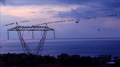 Turkiye's daily power consumption up 6.3% on May 6