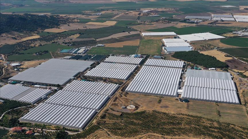 Spot market natural gas prices for Monday, Aug. 8