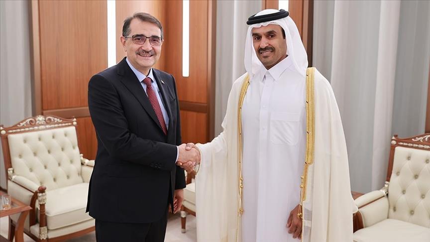 Meetings with Türkiye's energy minister, Gulf countries prove positive for gas, renewables cooperation