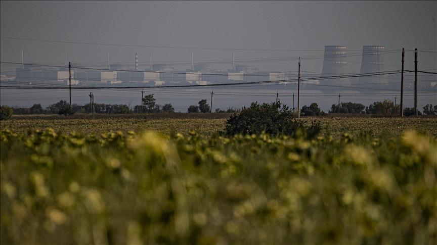 Zaporizhzhya nuclear plant disconnects from Ukrainian electricity grid