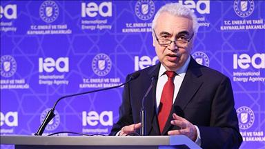 Perpetrator of Nord Stream pipeline sabotage 'very obvious': IEA chief
