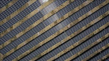 Renewables meet 100% increase in global power demand, halt rise in coal and gas