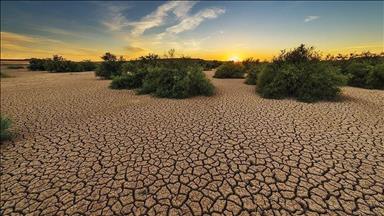 UNEP chief urges G20 to stop delaying climate action, warns of growing cost of inaction