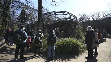 Energy crunch forces Germany's Dortmund Zoo to shutter tropical house