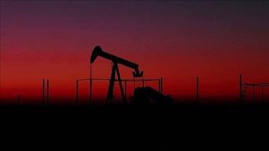 US oil rig count up for week ending Feb.10