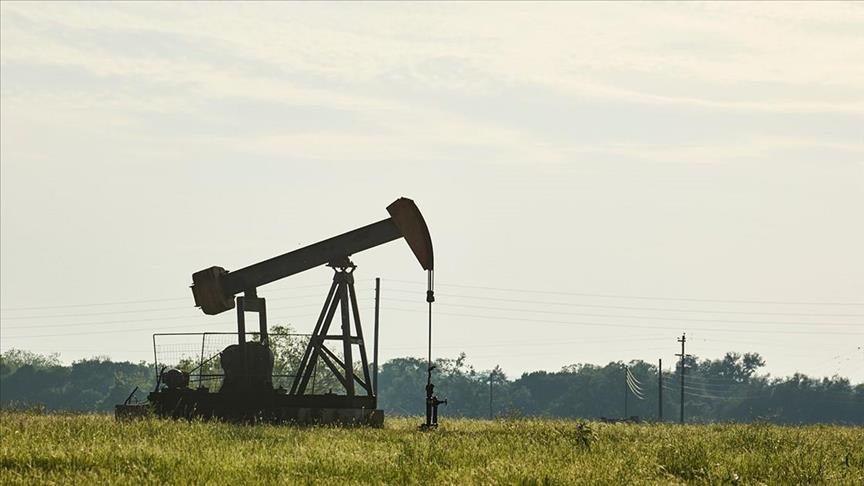 Oil prices fall ahead of crucial upcoming US inflation data