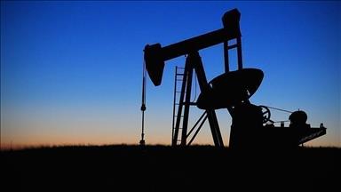 US oil rig count down for week ending Feb.17