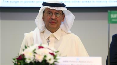 OPEC decisions are flexible, in line with market realities: Saudi min.