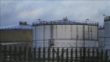 US crude oil inventories up 0.2% for week ending March 17
