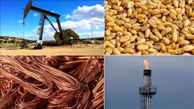 Commodity prices expected to show sharpest drop since pandemic: World Bank