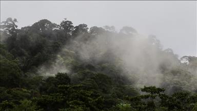 Wildfire season worldwide now starting earlier and lasting longer due to global warming