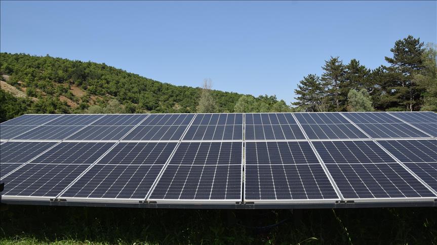 Spot market electricity prices for Wednesday, August 9