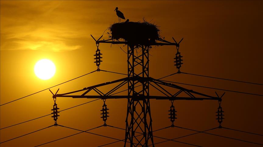 Spot market electricity prices for Thursday, Oct. 12