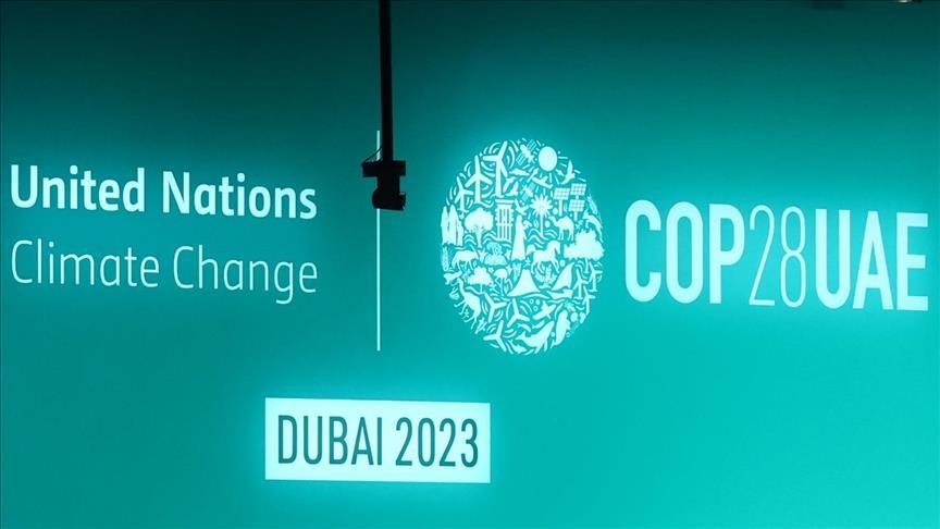 COP28: EU, IMF, Zambia call for more ambitious, widespread carbon pricing