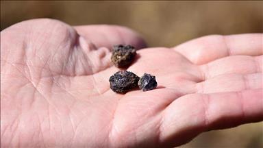 Trade restrictions on rare earths pose threat to green energy transition