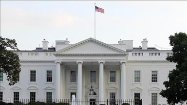 Experts predict US LNG pause decision will not immediately impact market