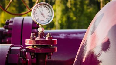 Balticconnector gas pipeline repairs starting in March