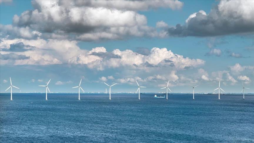 Danish energy group Orsted signs MoU for offshore wind with South Korean city