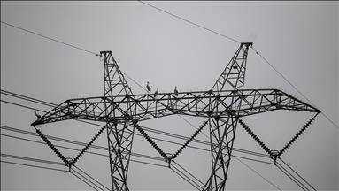 Spot market electricity prices for Friday, Mar. 1