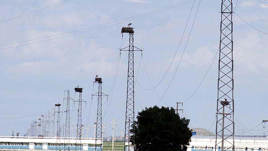 Spot market electricity prices for Thursday, March 28