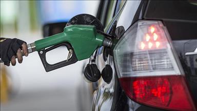 Russia not planning to ban diesel exports: Deputy prime minister