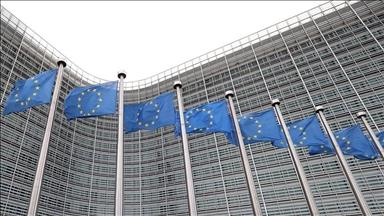 EU launches 2 investigations on foreign subsidies in solar industry
