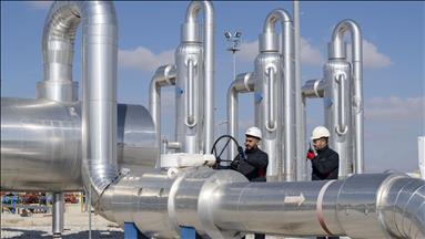 Türkiye's gas imports down 11.3% in February 2024