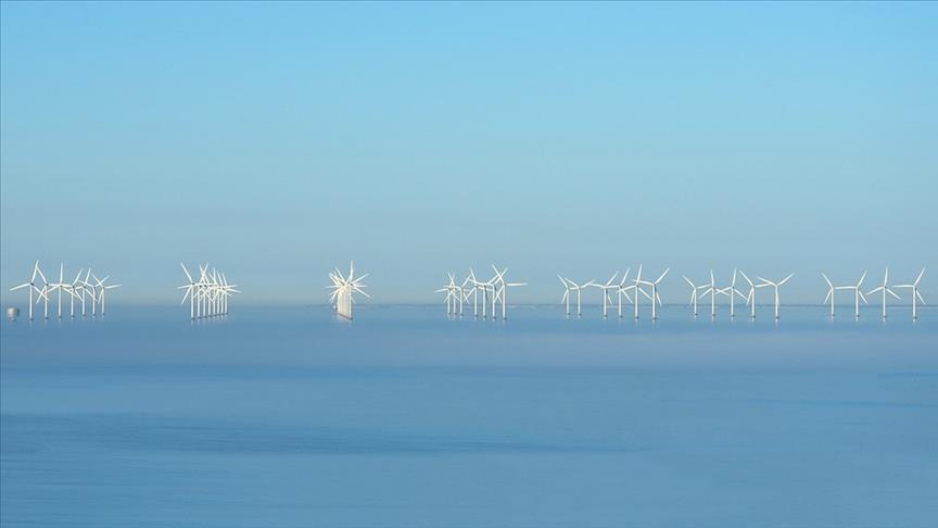 Global offshore wind capacity rises 24% in 2023, second-highest growth in offshore wind history