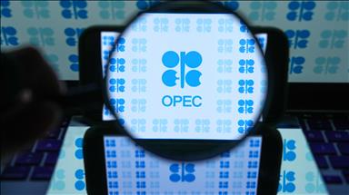 OPEC daily crude output falls by 0.3% in June