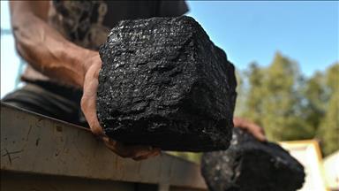 Global coal demand to remain flat through 2025: Int. Energy Agency